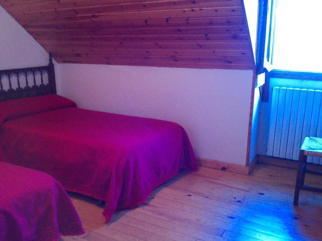 Pension Pallaruelo Saravillo Rum bild